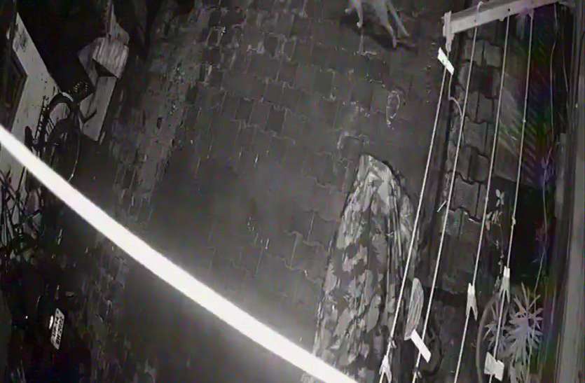 cctv.jpg गाजियाबाद की पॉश कालाेनी में आधी रात काे घूमते हुए देखा गया तेंदुआ, दहशत में लाेग