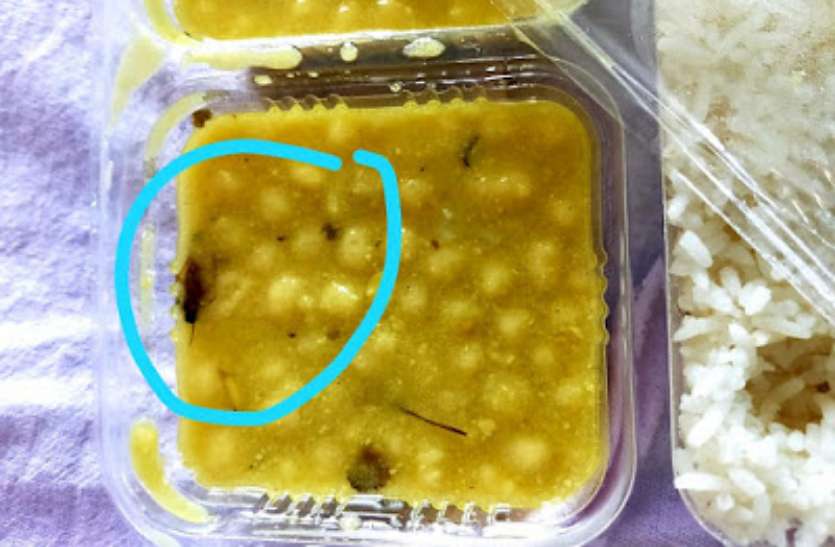 कोविड-19 अस्पताल में मरीज के खाने में मिला कॉकरोच, वीडियो वायरल होते ही मचा हड़कंप कोविड-19 अस्पताल में मरीज के खाने में मिला कॉकरोच, वीडियो वायरल होते ही मचा हड़कंप