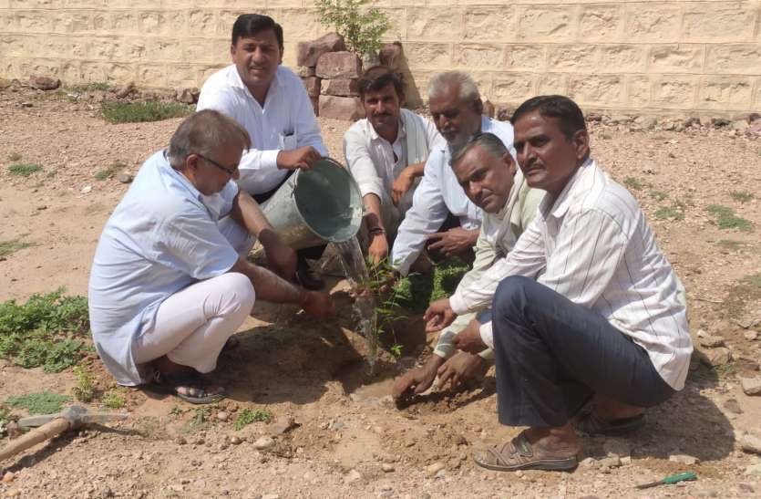 पौधरोपण अभियान लगातार जारी, पर्यावरण संरक्षण का संकल्प लिया पौधरोपण अभियान लगातार जारी, पर्यावरण संरक्षण का संकल्प लिया