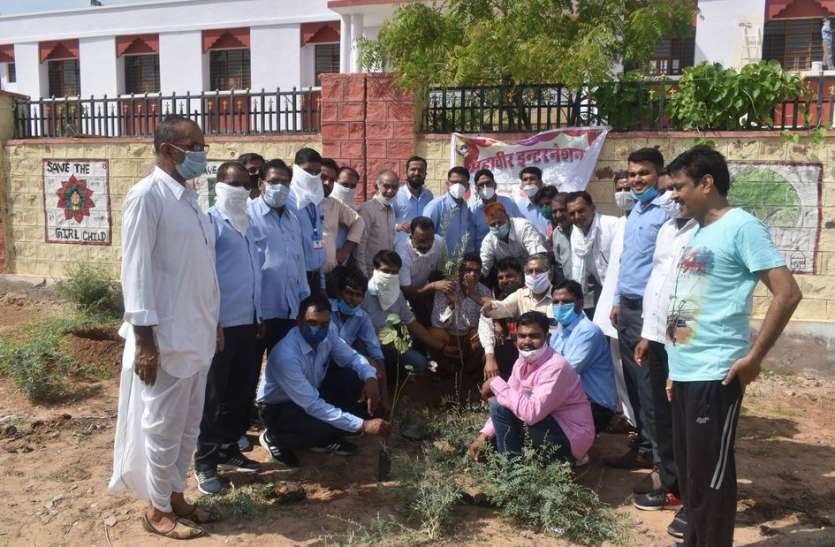 Plantation in Model School Campus हरियाळो राजस्थान : मॉडल स्कूल परिसर में लगातार तीसरे वर्ष पौधरोपण