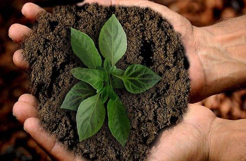 जैविक कृषि को प्रोत्साहित करने के लिए कार्यबल का गठन जैविक कृषि को प्रोत्साहित करने के लिए कार्यबल का गठन