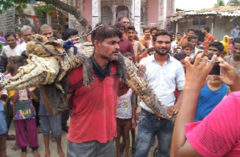 ग्रामीणों ने मगरमच्छ को पकडकऱ वन विभाग को सौंपा ग्रामीणों ने मगरमच्छ को पकडकऱ वन विभाग को सौंपा