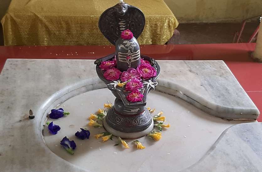 पारद्वेश्वर मंदिर १३वां ज्योर्तिलिंग निखिल पारद्वेश्वर मंदिर बैतूल में बन रहा