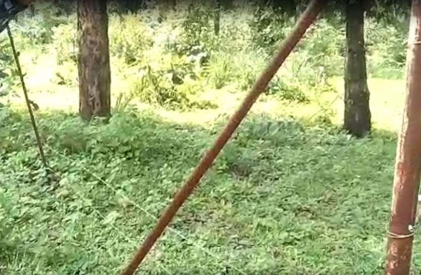 कान्हा पार्क की टूटी फेंसिंग से बढ़ा सेंधमारी का खतरा कान्हा पार्क की टूटी फेंसिंग से बढ़ा सेंधमारी का खतरा