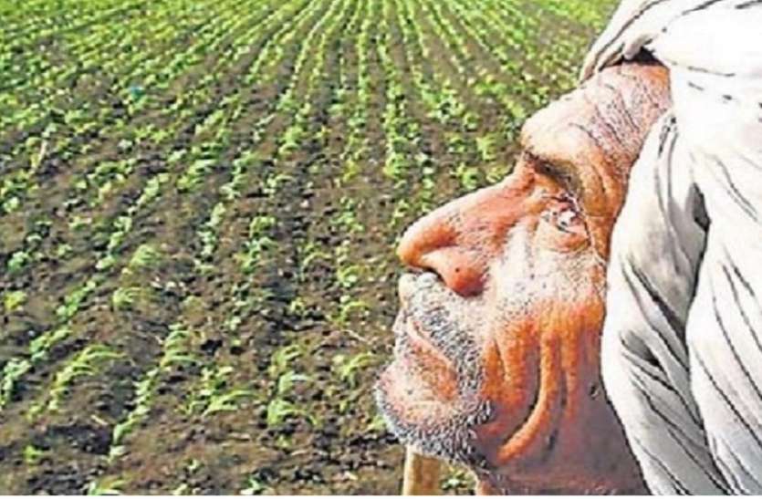 बारिश की बाट जोहता किसान (प्रतीकात्मक फोटो) 2 लाख से ज्यादा किसानों पर संकट के बादल