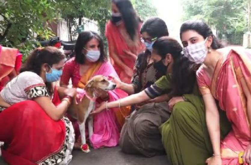 photo6141076374945902156.jpg महिलाओं ने कुत्तों को बांधी राखी, जानिए क्या है इसके पीछे का कारण