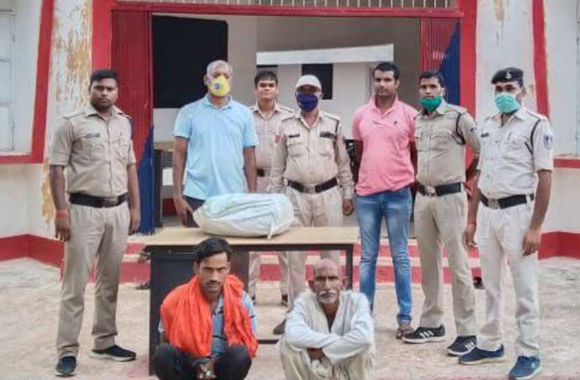 Action taken on the instruction of Singrauli SP तय है जिले में आई गांजा की बड़ी खेप, गढ़वा पुलिस ने 9 किलो गांजा के साथ दो को पकड़ा