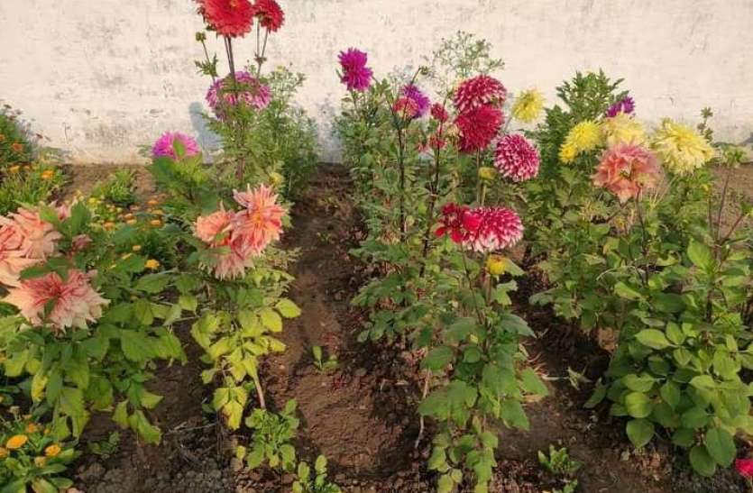 photo_2020-08-02_18-07-17.jpg अपनी शिक्षा का किया उपयोग जेल को बना दिया चमन