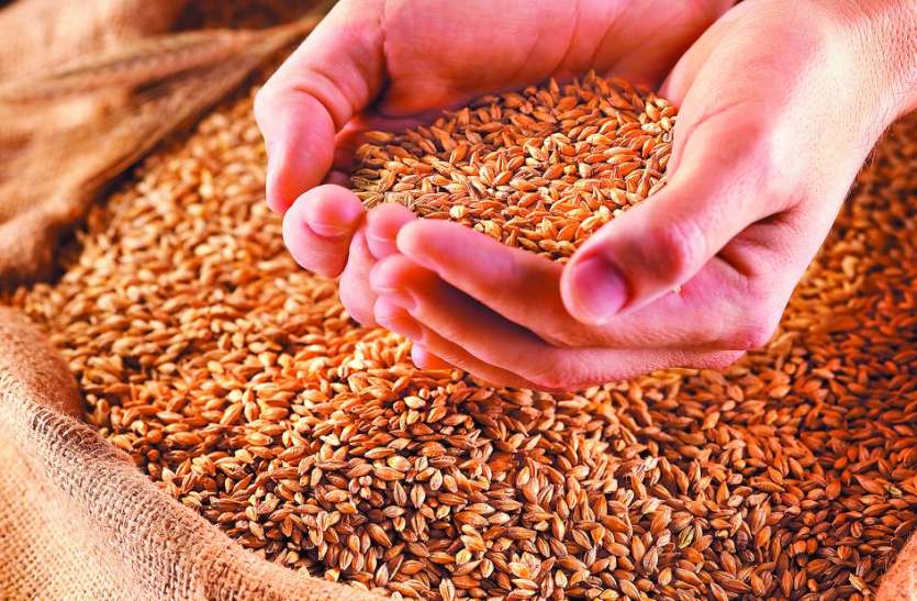 Consumers are suffering due to negligence of ration dealer राशन डीलर की लापरवाही का खमियाजा भुगत रहे उपभोक्ता