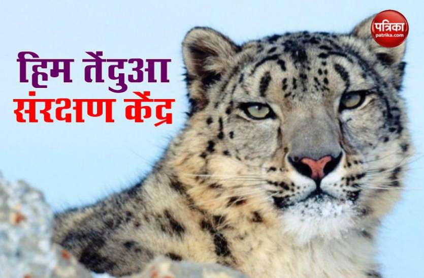 Uttarakhand will have India first Snow Leopard Conservation Centre उत्तराखंड में बनेगा भारत का पहला Snow Leopard संरक्षण केंद्र