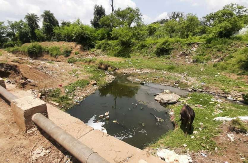 सावन के महिने में रूठी बारिश ने 15 वर्ष का रिकार्ड तोड़ा सावन के महिने में रूठी बारिश ने 15 वर्ष का रिकार्ड तोड़ा