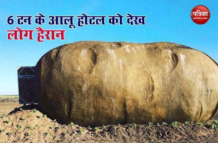 alu_hotel1.jpg 400 एकड़ के मैदान में फैले एक आलू को देख लोग हैरान, बाद में पता चली हकीकत