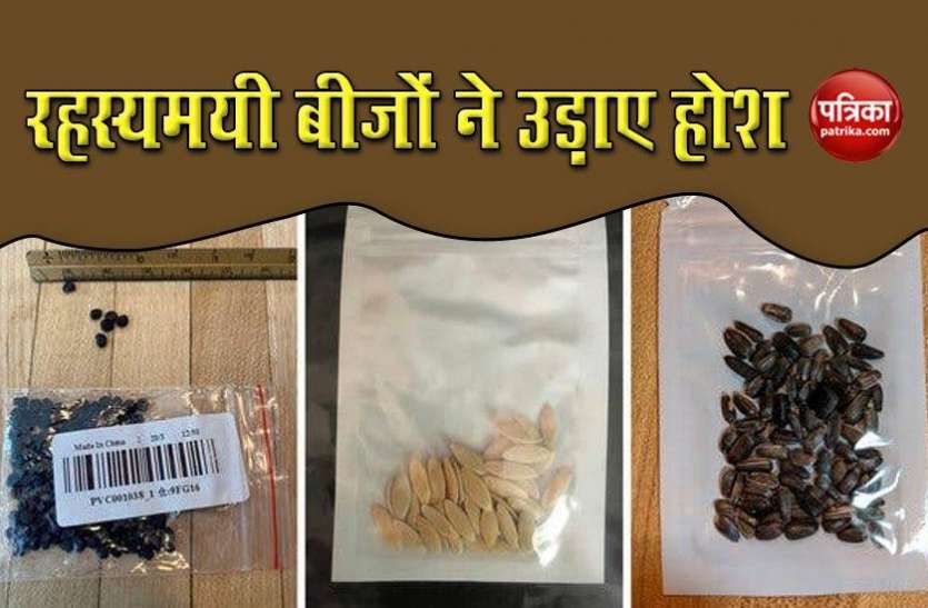 beej1.jpg चीन से आए रहस्यमयी पैकेट्स ने उड़ाई लोगों की नींद, जांच में निकले टमाटर के बीज