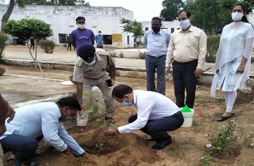 कारागृह में पौधारोपण कर दिया पर्यावरण सरंक्षण का दिया संदेश कारागृह में पौधारोपण कर पर्यावरण सरंक्षण का दिया संदेश