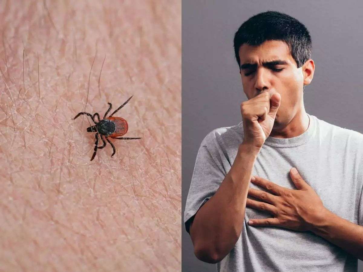 COVID-19: कोरोना वायरस के बाद चीन में एक नए वायरस का खतरा, अब तक 7 लोगों की जा चुकी है जान