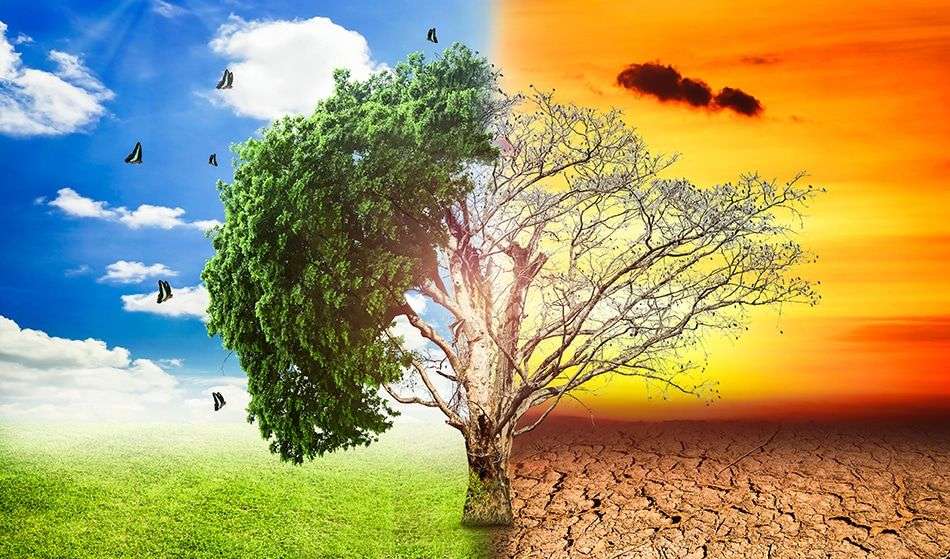 अगर जलवायु परिवर्तन पर नहीं लगाई रोक तो गर्मी बनेगी अगली महामारी
