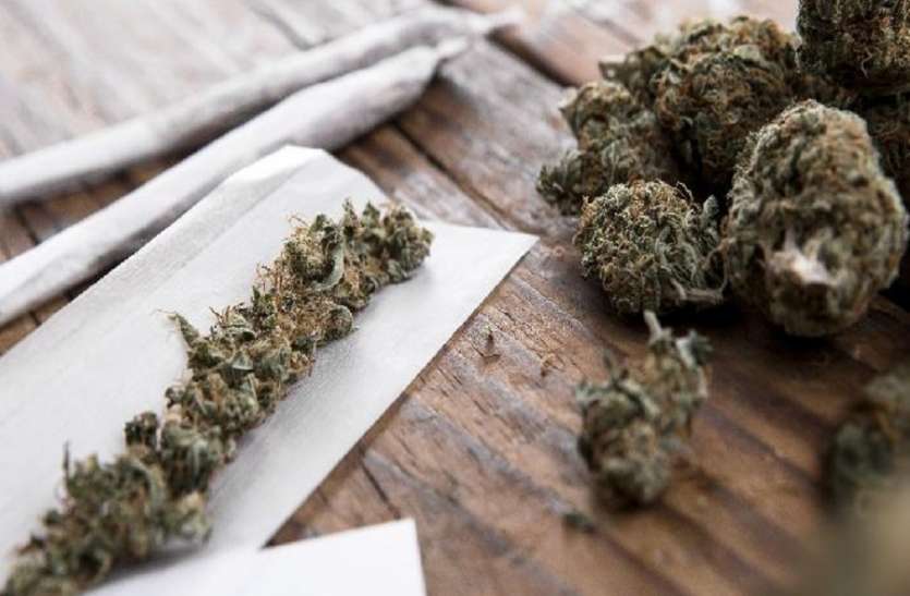 Food Delivery Executive Caught Peddling Ganja in Chennai चेन्नई में ऑनलाइन फूड डिलेवरी की आड़ में गांजा तस्करी, महिला गिरफ्तार