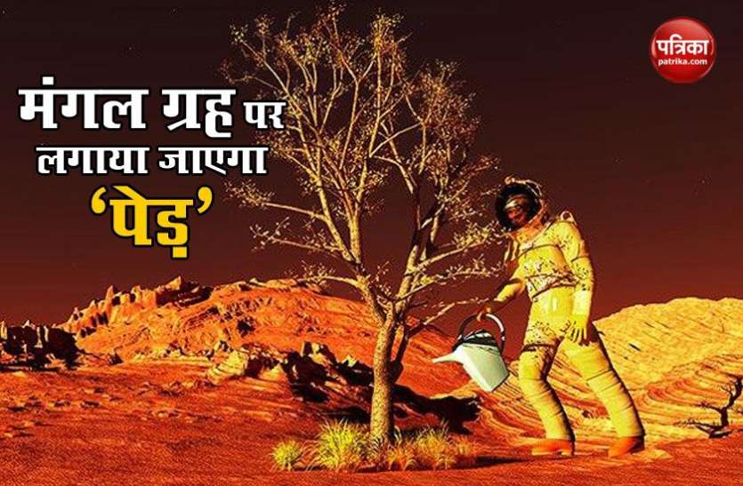 mars Mars पर ऑक्सीजन पैदा करने के लिए लगाया जाएगा 'पेड़’, NASA का Perseverance Rover 2021 में करेगा लैंड