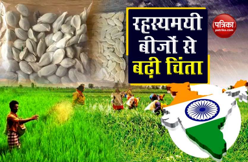 Mysterious seed poses threat central government warns states Mysterious Seeds बने खतरा, केंद्र सरकार ने राज्यों को दी चेतावनी