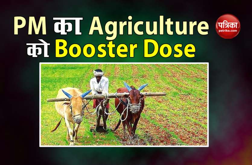 How Will Improvement In Agriculture Sector With PM Modi's ...