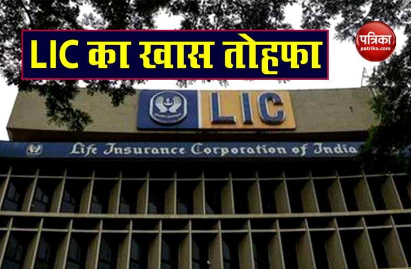 Lapsed LIC Policy Revival plan giving option for revival Lapsed Policy Lapsed LIC Policy Revival Plan : दो महीने में फिर से शुरू करा सकते हैं अपनी बंद हो चुकी पॉलिसी