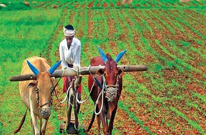 ऋण माफी के भरोसे साढ़े पांच लाख किसान हो गए बैंकों के डिफाल्टर ऋण माफी के भरोसे साढ़े पांच लाख किसान हो गए बैंकों के डिफाल्टर