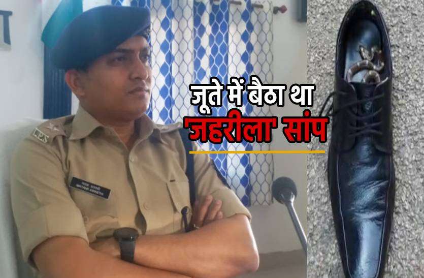 sp.jpg एसपी के जूते में बैठा था 'जहरीला' सांप, उठाते ही काटा !
