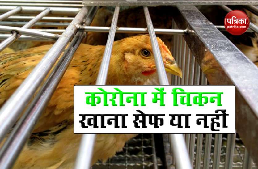 chicken1.jpg Broiler चिकन में मिला कोरोना वायरस, सोशल मीडिया पर छाया मैसेज, डर के चलते लोगों ने बनाई दूरियां