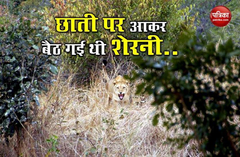 Man Fights Off Lioness In Gujarat OMG: चैन से सोया था शख्स, तभी छाती पर आकर बैठ शेरनी आकर, जानिए क्या हुआ फिर ?