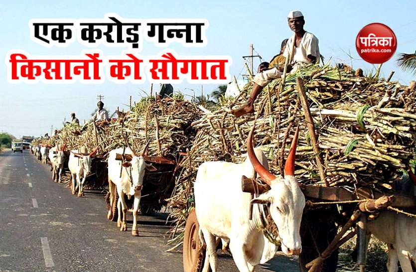 Grants to farmers, increase in sugarcane price by Rs 10 per quintal देश के एक करोड़ Sugarcane Farmers को सरकार की ओर से सौगात, कीमत में 10 रुपए प्रति क्विंटल का इजाफा