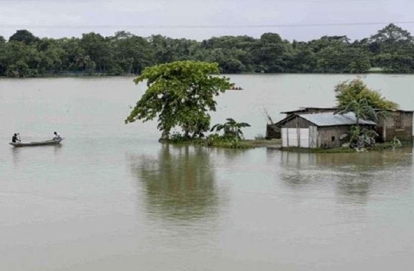 असम में बाढ़ से मचा हुआ है कोहराम, 113 मौतें असम में बाढ़ से मचा हुआ है कोहराम, 113 मौतें