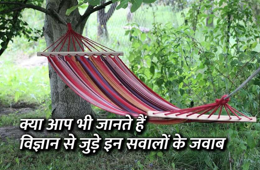 General Science Questions And Answers In Hindi Mock Test Online Exam G Gk Questions À¤• À¤¯ À¤†à¤ª À¤­ À¤œ À¤¨à¤¤ À¤¹ À¤µ À¤œ À¤ž À¤¨ À¤¸ À¤œ À¤¡ À¤‡à¤¨ À¤¸à¤µ À¤² À¤• À¤œà¤µ À¤¬ Patrika News
