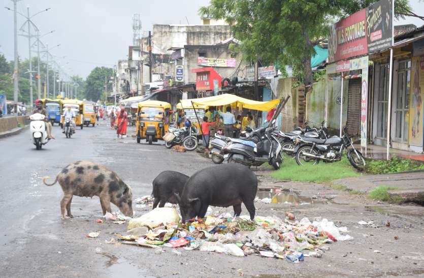 ब्रांडिंग से सिर्फ तस्वीरें चमकीं, गलियां-नालियां तो बजबजाती ही रहीं ब्रांडिंग से सिर्फ तस्वीरें चमकीं, गलियां-नालियां तो बजबजाती ही रहीं