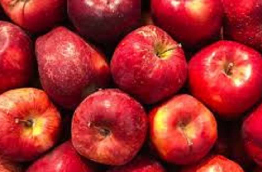 apple एप्पल: मप्र में होगी सेव की खेती, कृषि विवि ने तलाशी संभावनाएं