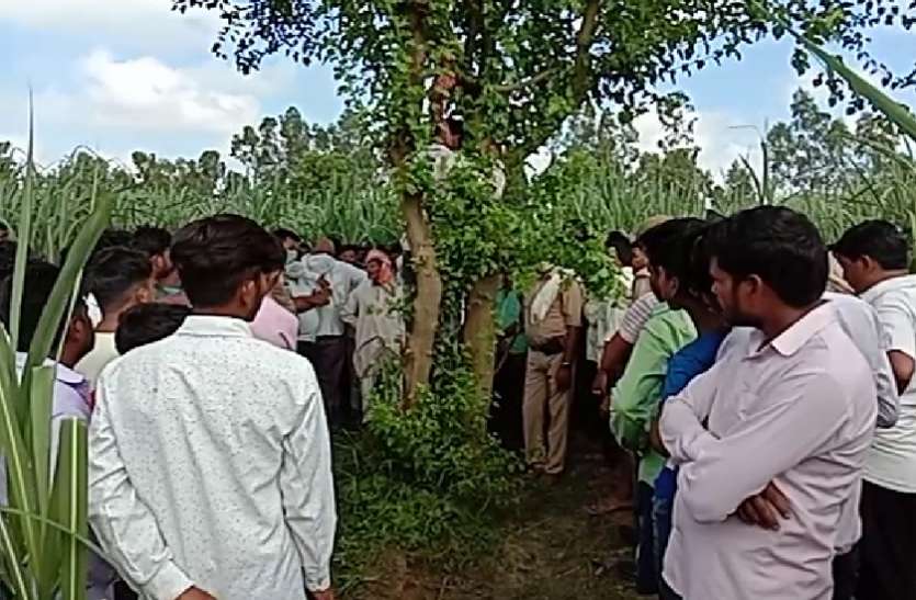 bijnor.jpg Bijnor: शाम को लापता हुए युवक का सुबह जंगल में मिला शव, परिवार में हाहाकार