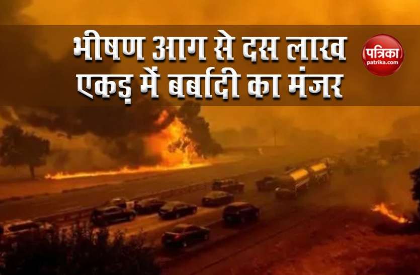 california forest fire America: California के जंगलों में भीषण आग से भारी तबाही, 10 लाख एकड़ क्षेत्र में खौफनाक मंजर