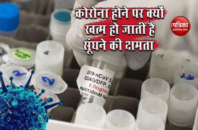Why does Corona end up in the smell of infected humans? Corona संक्रमित इंसान में क्यों खत्म हो जाती है सूंघने की क्षमता? जानें वजह