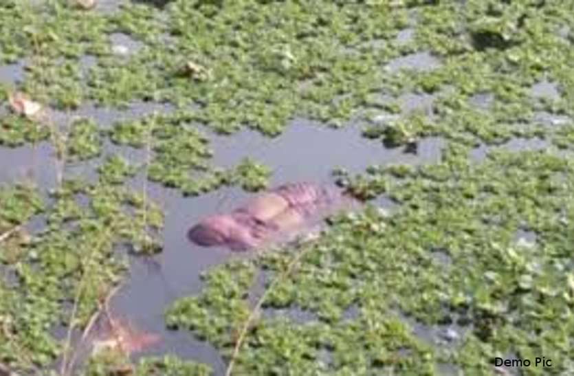 Dead body महिला की हत्या के बाद शव को पत्थर बांधकर तालाब में फेंका, मामला दर्ज