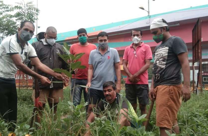 HARIT PRADESH ABHIYAN: झमाझम के बीच डटे पर्यावरण के पहरेदार HARIT PRADESH ABHIYAN: झमाझम के बीच डटे पर्यावरण के पहरेदार