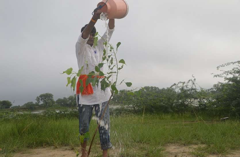 Tree Man Of India की कहानी पर बन रही है डॉक्यूमेंट्री, बना रही है डीडब्ल्यू जर्मन टीम