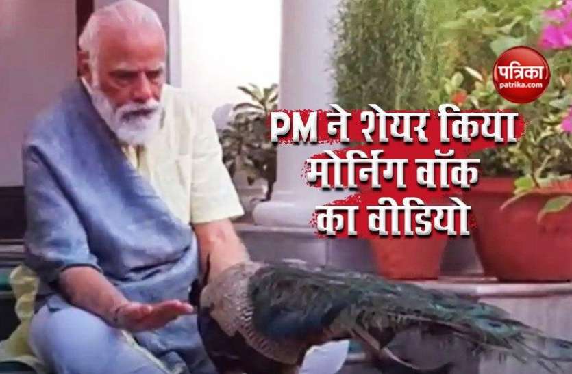 PM Narendra Modi ने शेयर किया Morning walk का VIDEO, राष्ट्रीय पक्षी को दाना खिलाते दिखे PM Narendra Modi ने शेयर किया Morning walk का VIDEO, राष्ट्रीय पक्षी को दाना खिलाते दिखे