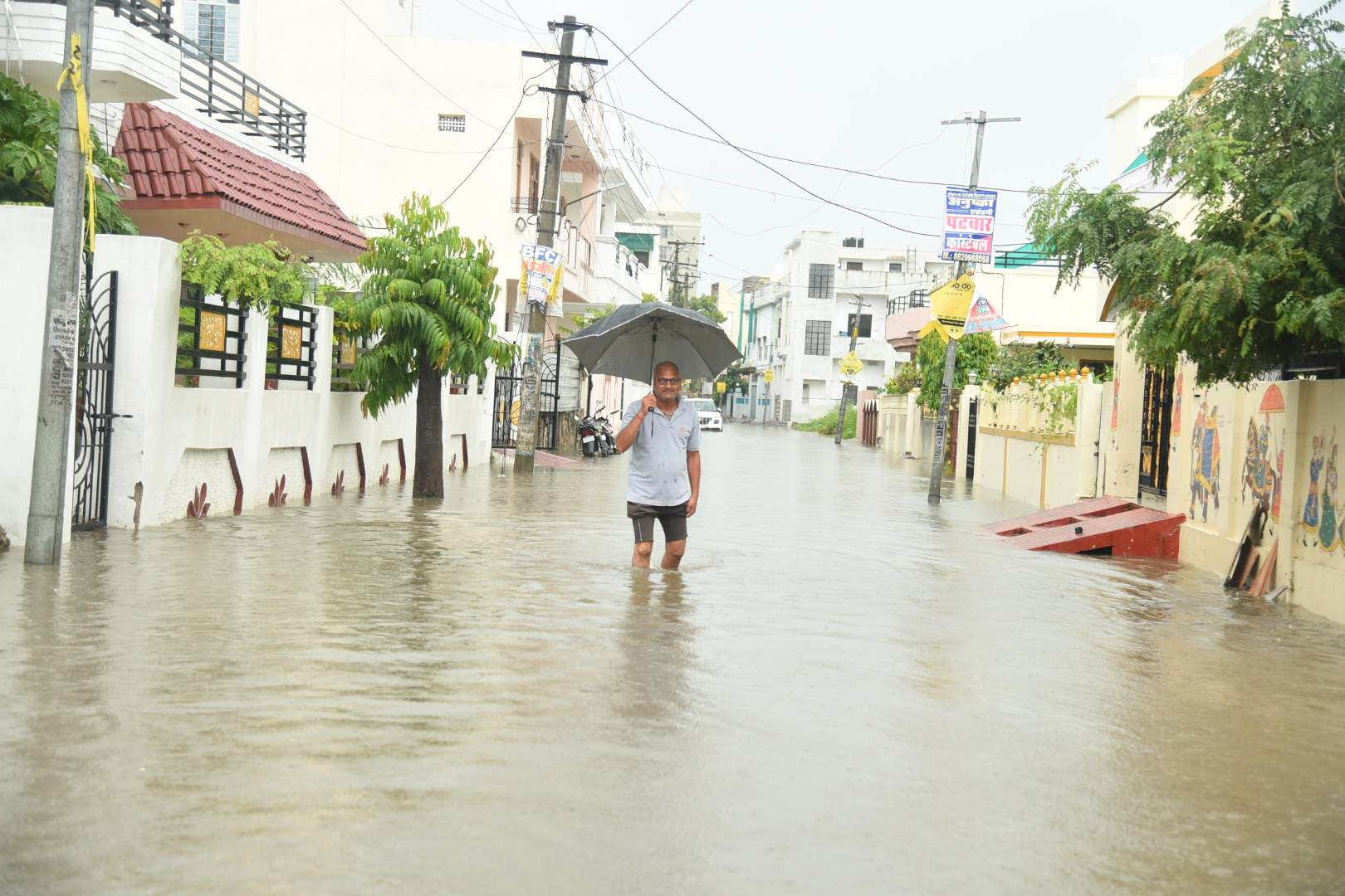 barish_2.jpg