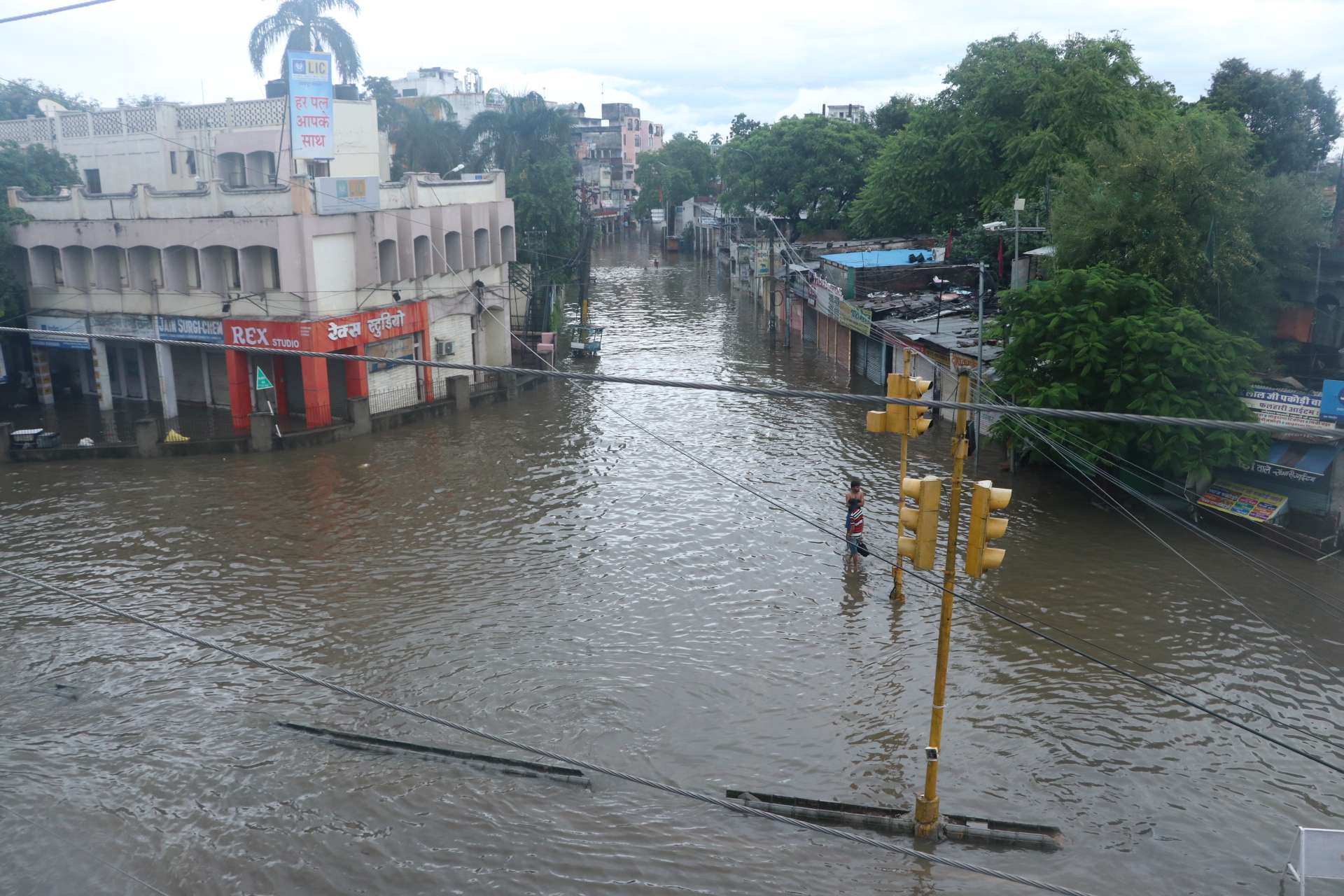 barish_3.jpg
