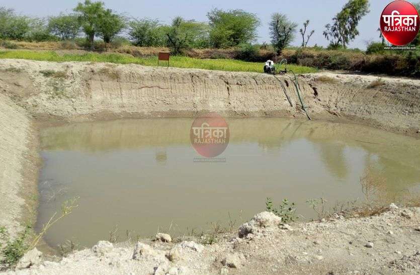 खेत तलाई से सोना उगल रही जमीनें, किसानों की बल्ले-बल्ले खेत तलाई से सोना उगल रही जमीनें, किसानों की बल्ले-बल्ले