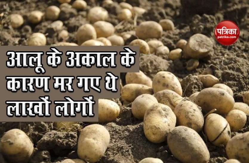 great_famine.jpg वो देश, जहां आलू के अकाल के चलते चली गई थी लाखों लोगों की जान !