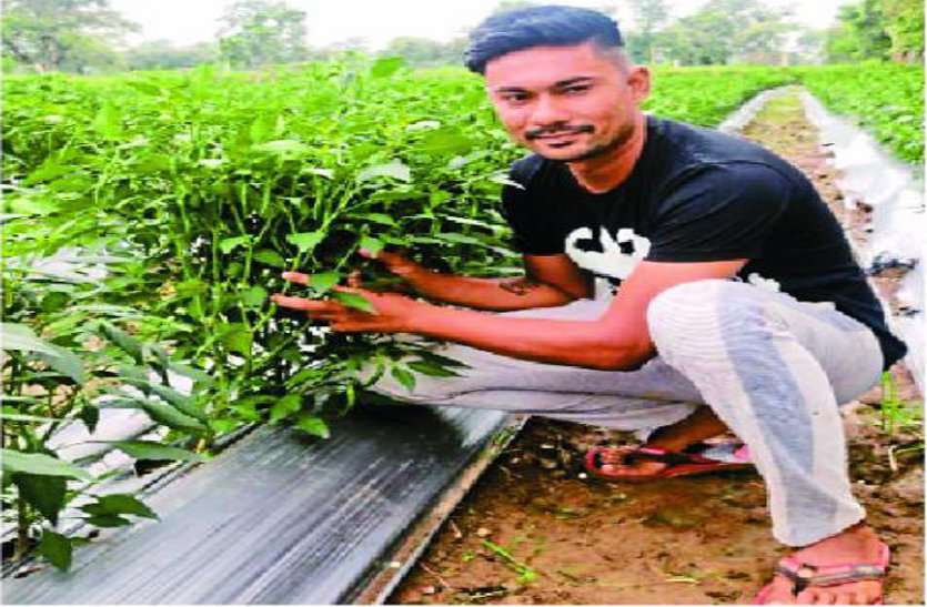 मिर्च और खीरा की खेती करके हर महीने लाखों कमाने वाला ये है आशीष, पढि़ए कृषि को कैरियर बनाने वाले युवा किसान की कहानी मिर्च और खीरा की खेती करके हर महीने लाखों कमाने वाला ये है आशीष, पढि़ए कृषि को कैरियर बनाने वाले युवा किसान की कहानी