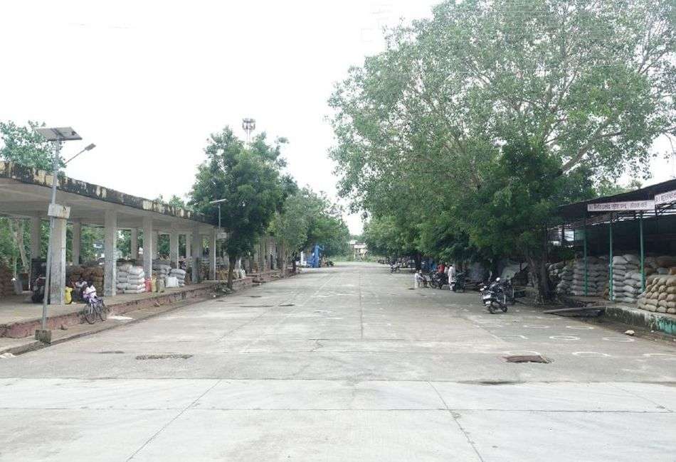 कृषि उपज मण्डियों में हड़ताल शुरू, लाखों के राजस्व का नुकसान