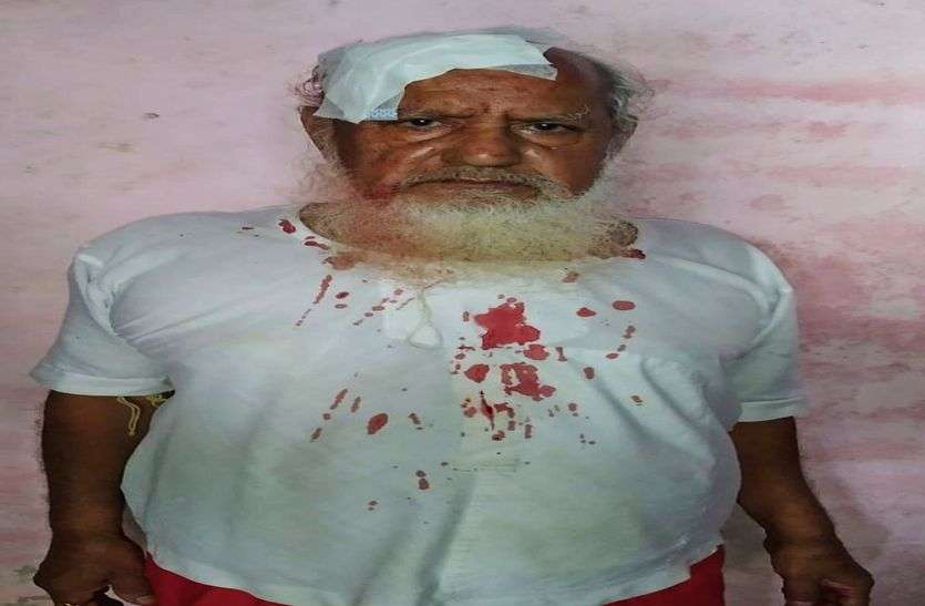 यहां आ रहे हैं तो सावधान रहें, ये जानवर पहुंचा सकते हैं नुकसान यहां आ रहे हैं तो सावधान रहें, ये जानवर पहुंचा सकते हैं नुकसान