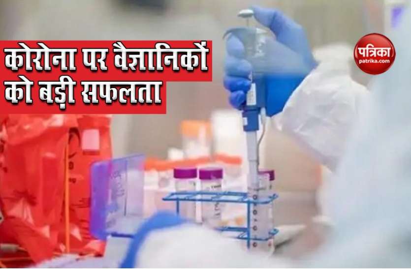 coronavirus vaccine Coronavirus: शोधकर्ताओं को बड़ी सफलता, Covid से बचाने वाले Antibody की हुई पहचान, Vaccine बनाने में मिलेगी मदद