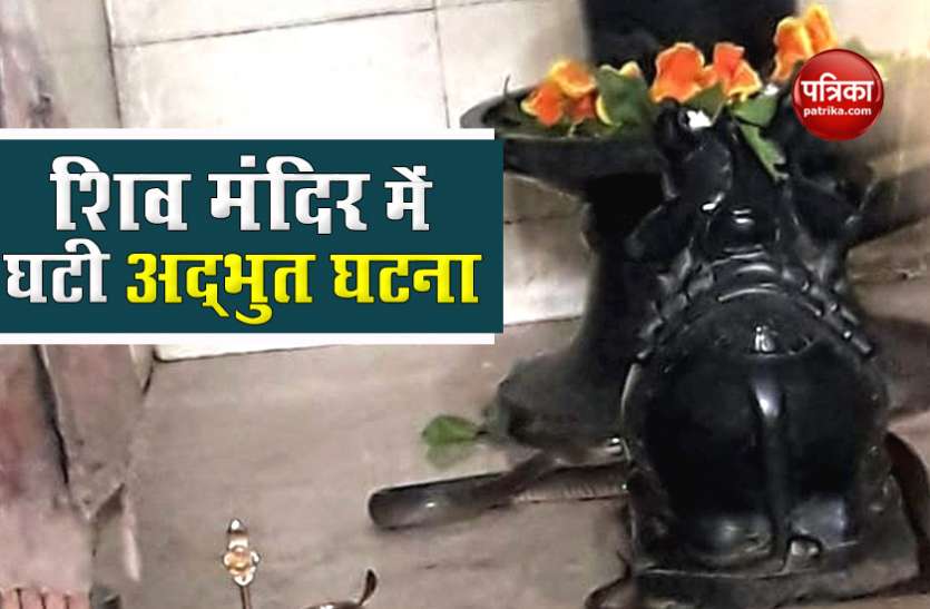 naag1.jpg शिव मंदिर में चल रहा था महामृत्युंजय जाप, अचानक 6 फीट का काला सांप आकर शिवलिंग से लिपटा, लोगों ने कहा चमत्कार